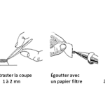 Design sans titre Design sans titre