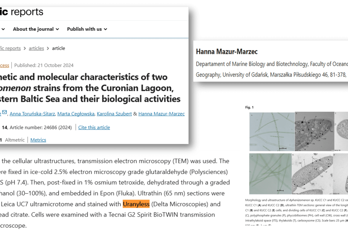 document where we can find an uranyless publications for a stain manipulation